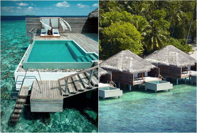 DUSIT THANI RESORT | MALDIVES - Image