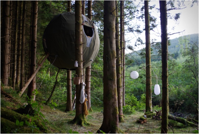TREE TENTS | BY LUMINAIR - Image