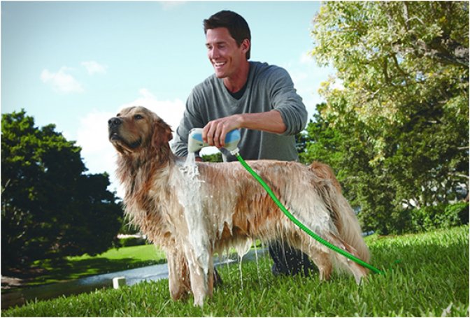 RAPIDBATH | DOG BATHING SYSTEM - Image