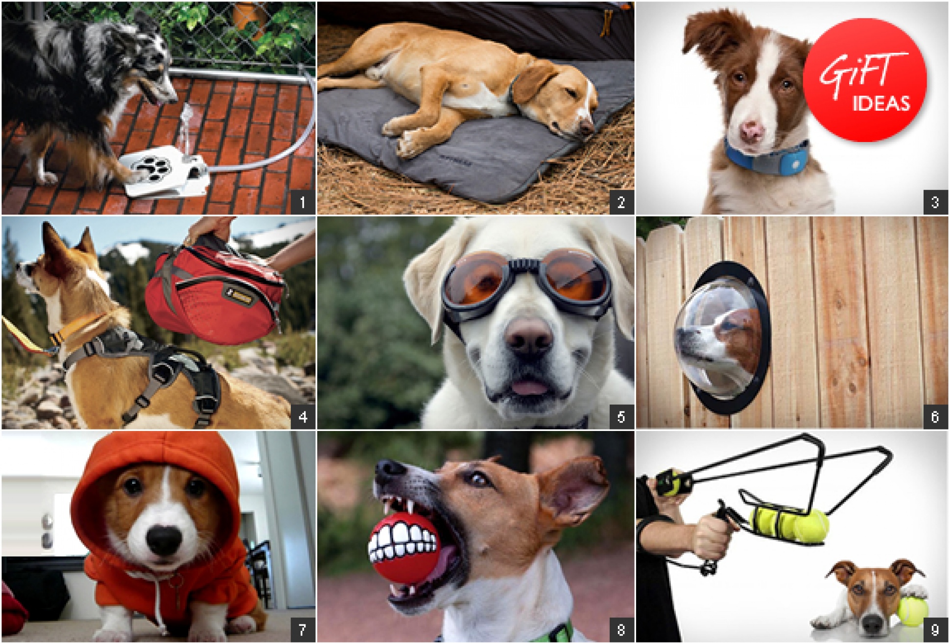 Gift Ideas Dog Lover
