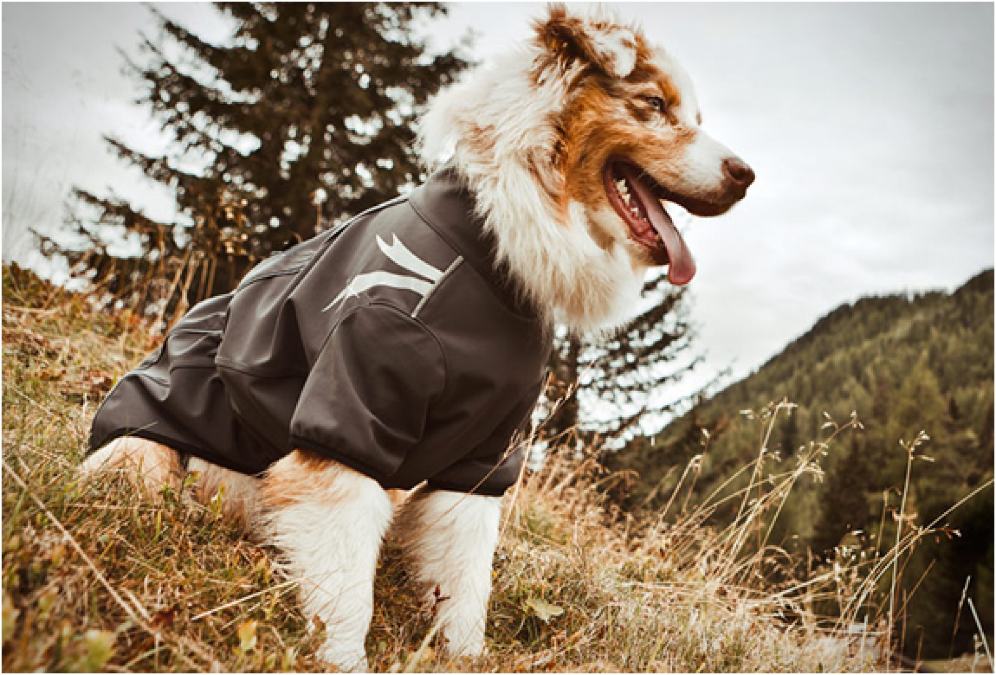 Dog Outdoor Overalls By Hurtta