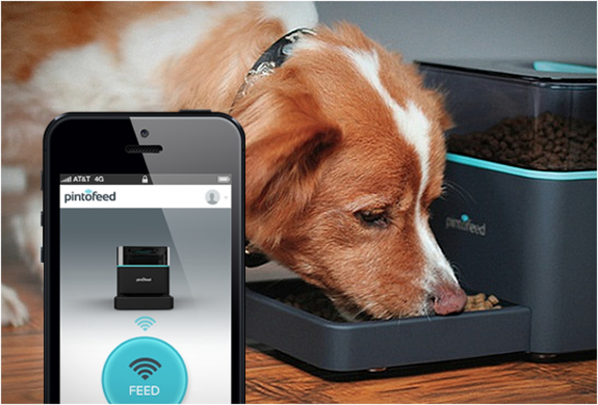 Smartphone pet feeder sale
