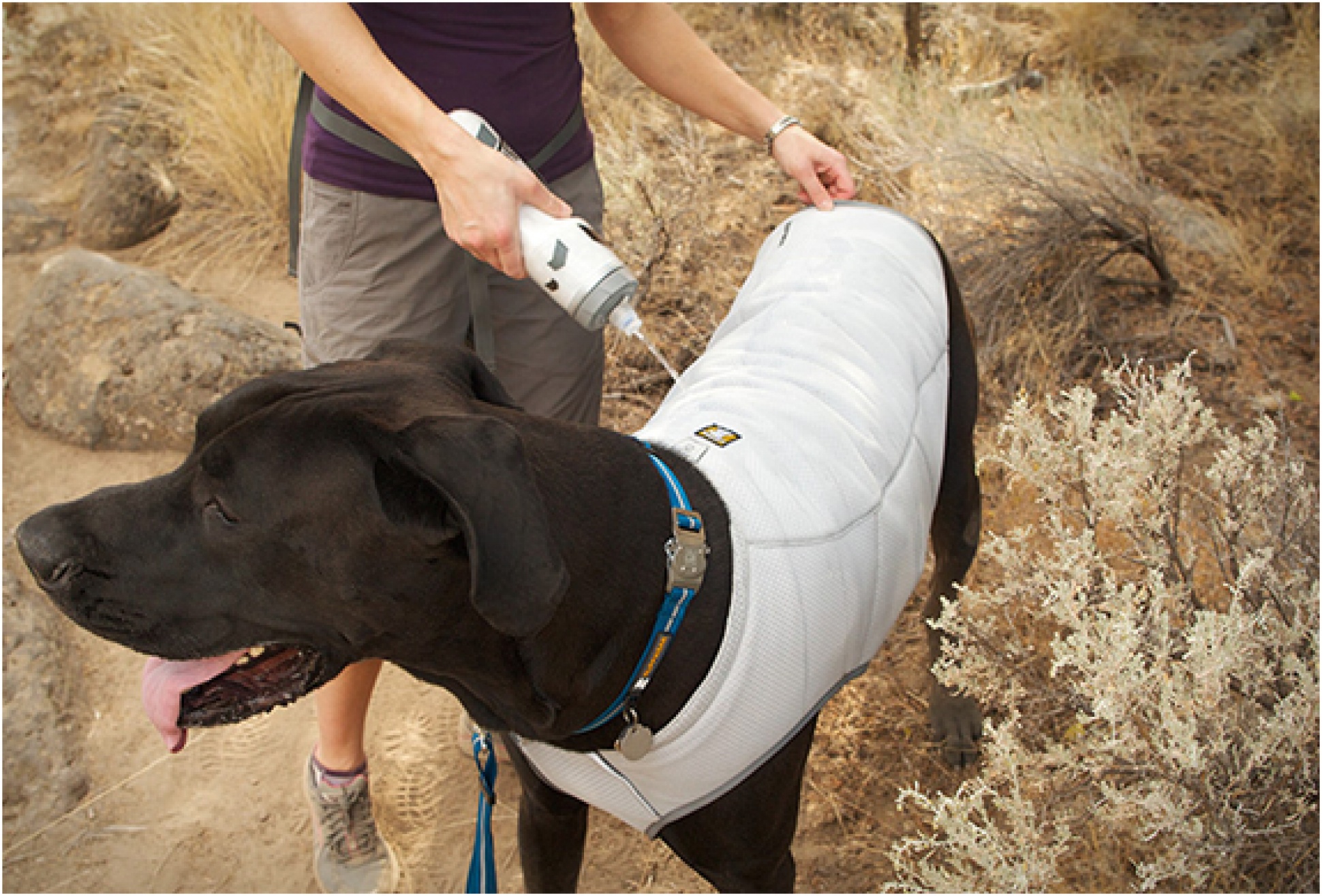 Swamp Cooler | By Ruffwear | Image