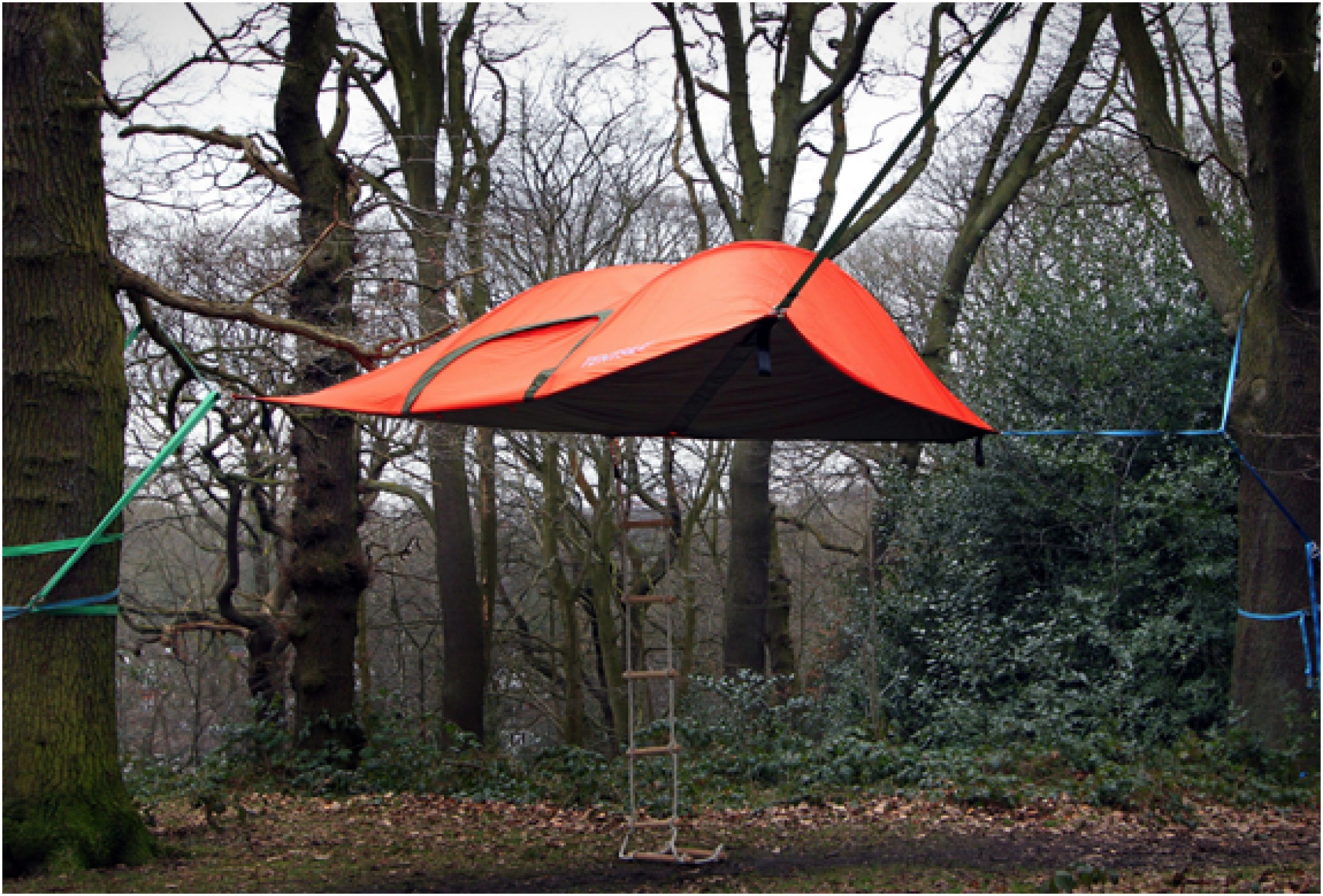 Tentsile Stingray Tent | Image