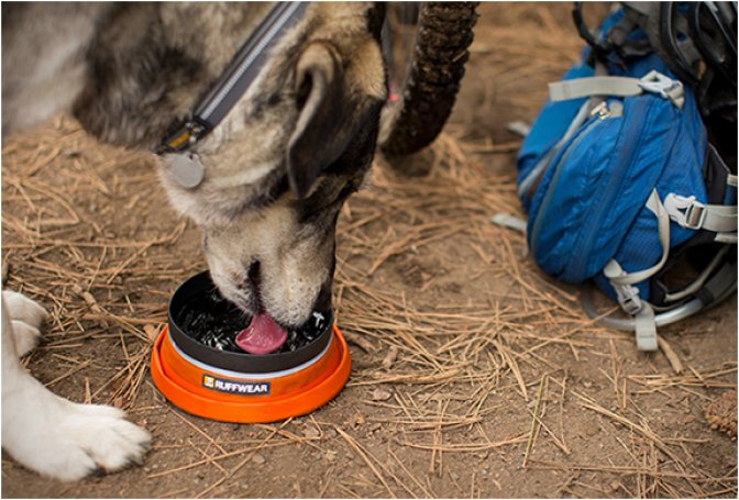 BIVY BOTA | COLLAPSIBLE WATER RESERVOIR & BOWL - Image