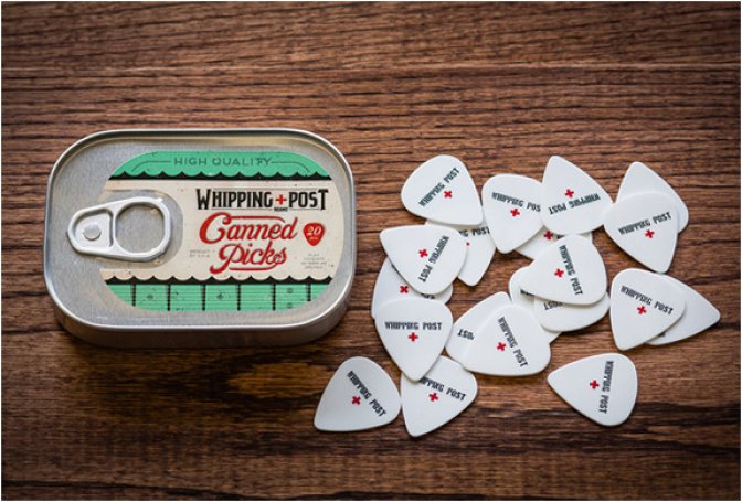CANNED GUITAR PICKS - Image