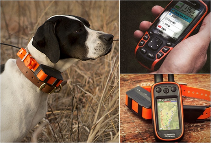 GARMIN ASTRO | DOG TRACKING SYSTEM - Image