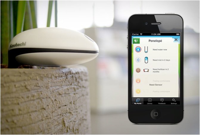 Koubachi | Wi-fi Plant Sensor - Image