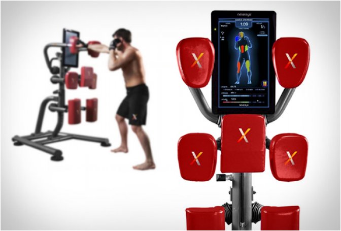 NEXERSYS BOXING UNIT - Image