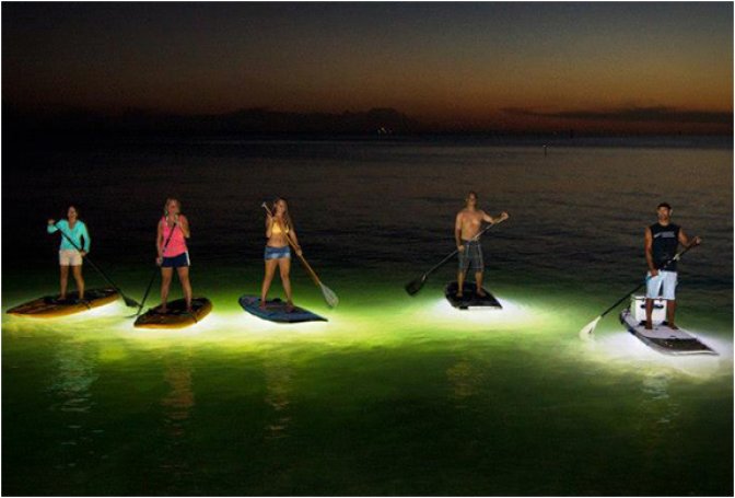 NOCQUA 2000 | LED LIGHT SYSTEM - Image
