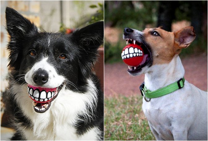 ROGZ GRINZ | FUNNY SMILE DOG TOY - Image