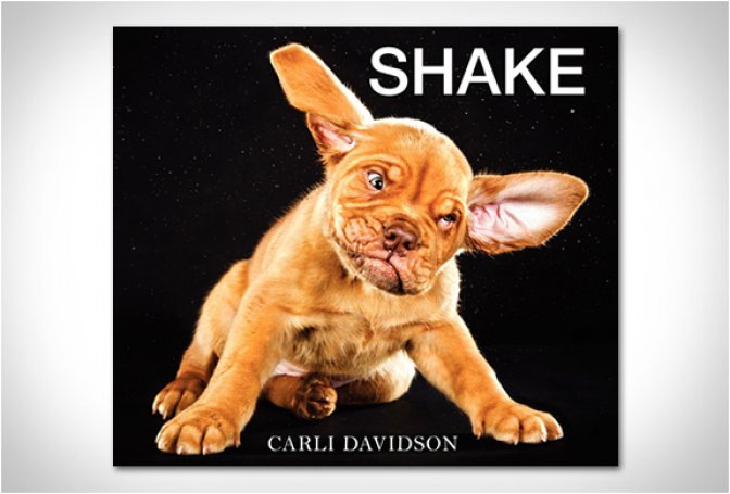 SHAKE | BY CARLI DAVIDSON - Image