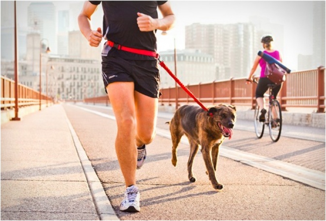 STUNT RUNNER | HANDS-FREE DOG LEASH - Image