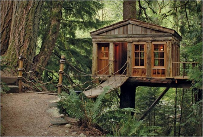 TREEHOUSE POINT - Image