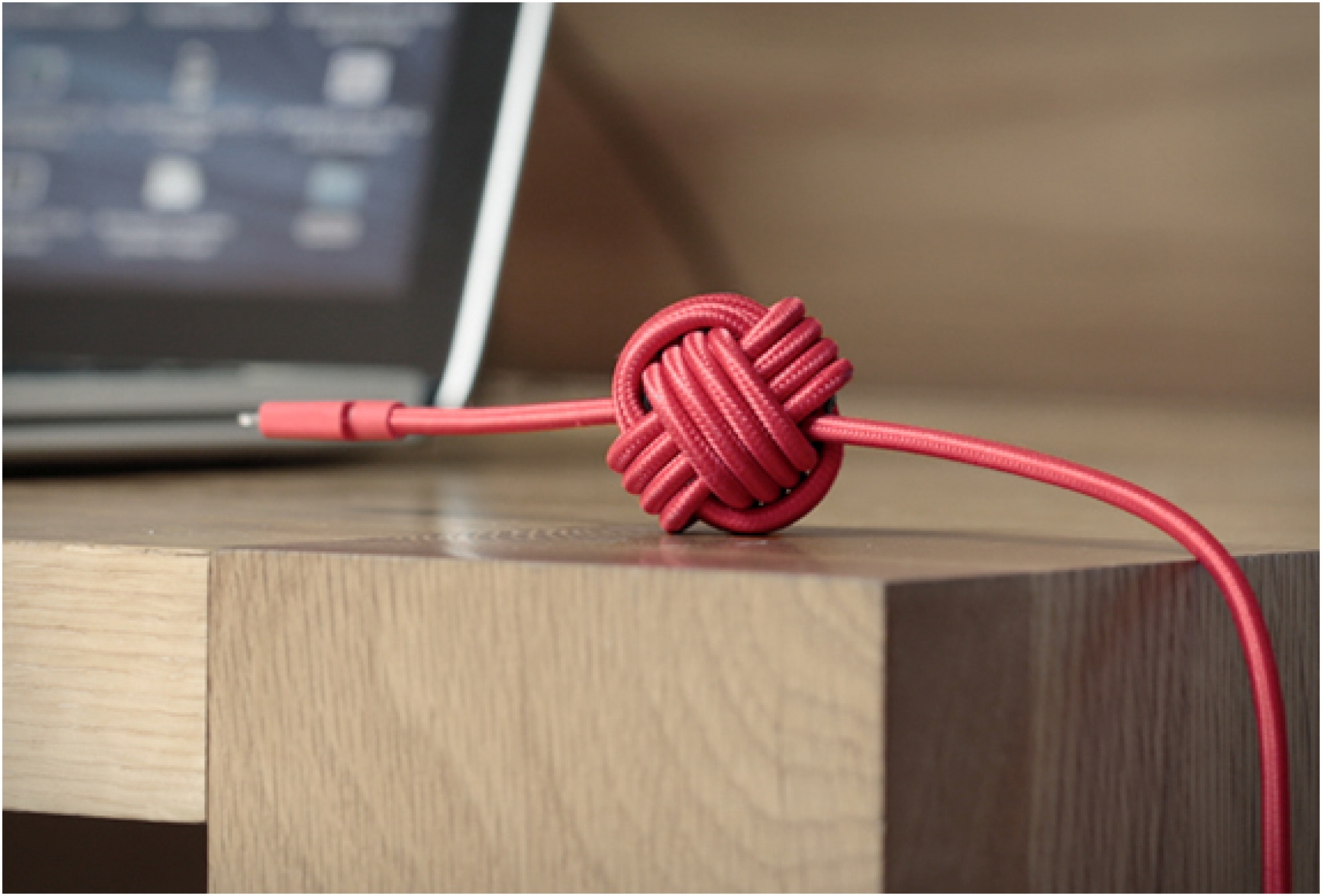 Night Cable | By Native Union | Image