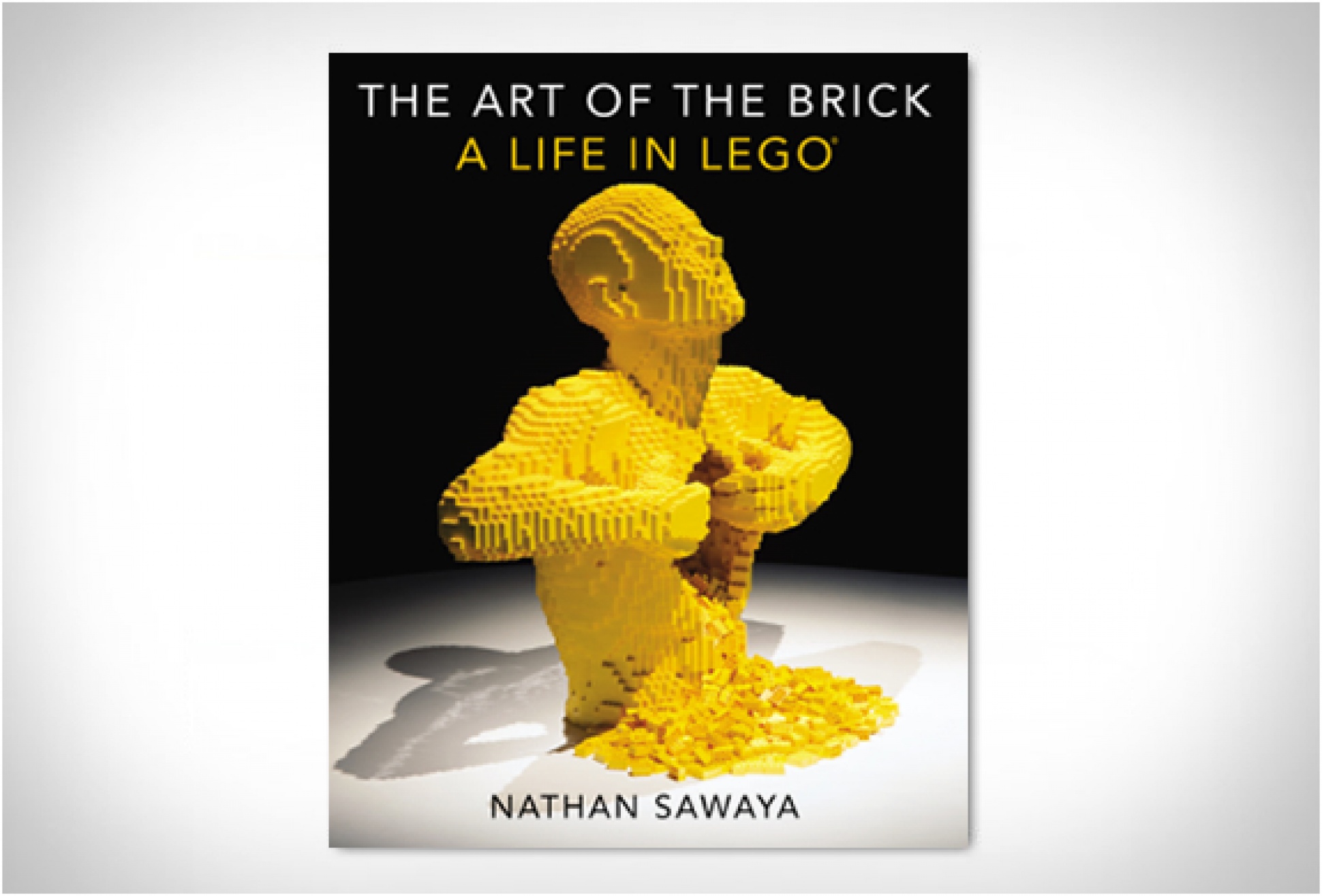The Art Of The Brick - Image