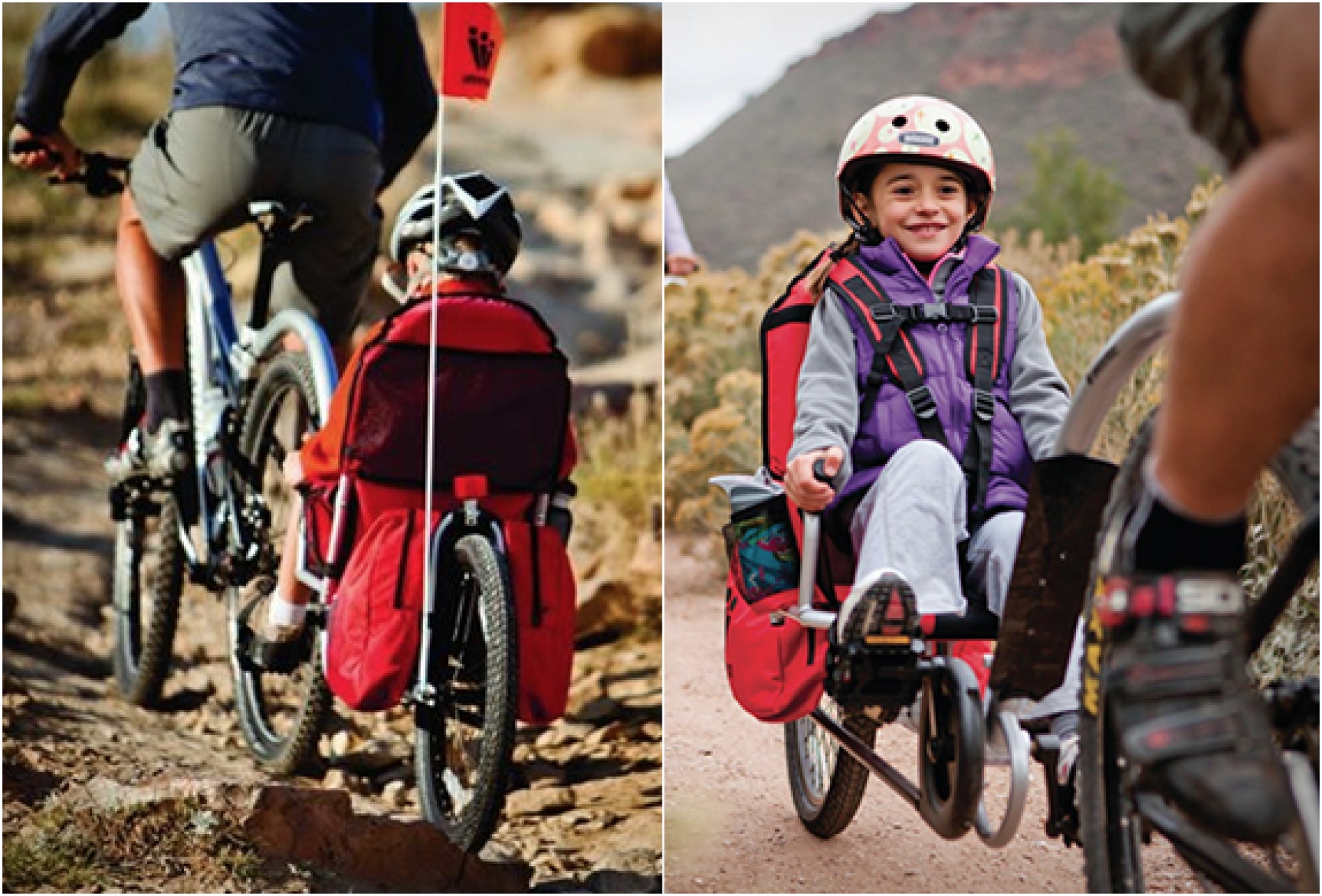 Weehoo Bicycle Trailer | Image