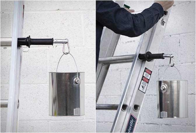 LADDERLIMB - Image