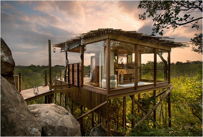LION SANDS | SOUTH AFRICA - Image