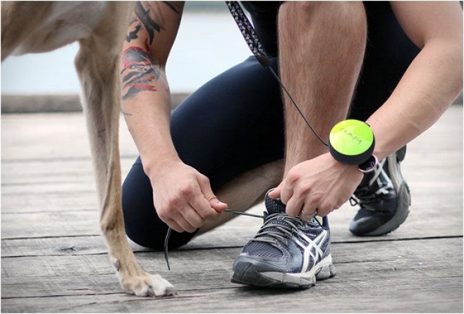 LISHINU | HANDS-FREE DOG LEASH - Image