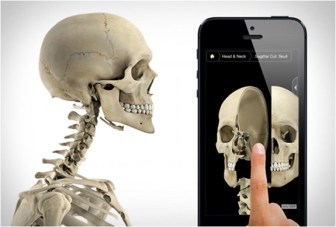 SKELETON SYSTEM PRO III - Image