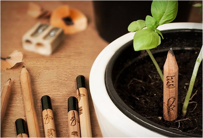 SPROUT | A PENCIL THAT GROWS - Image