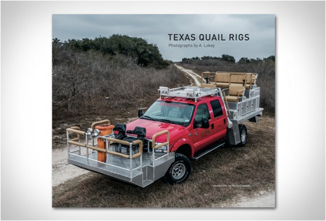 TEXAS QUAIL RIGS - Image