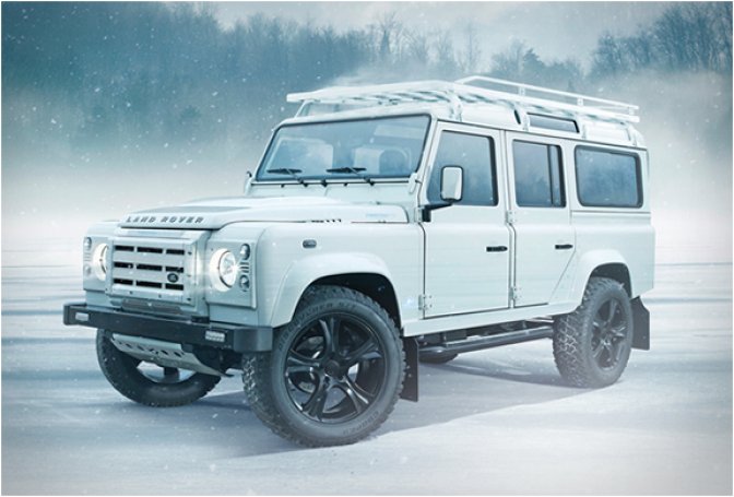TWISTED ALPINE DEFENDER - Image
