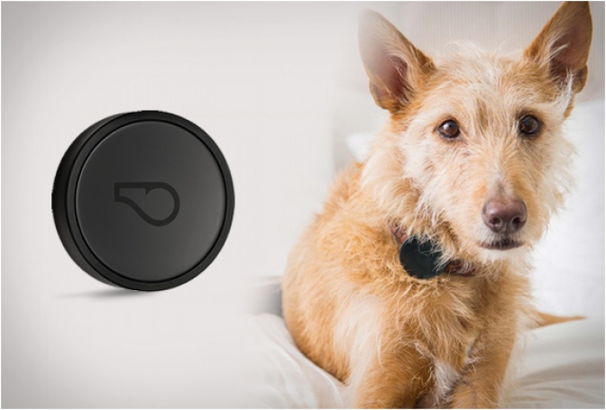 WHISTLE GPS - Image