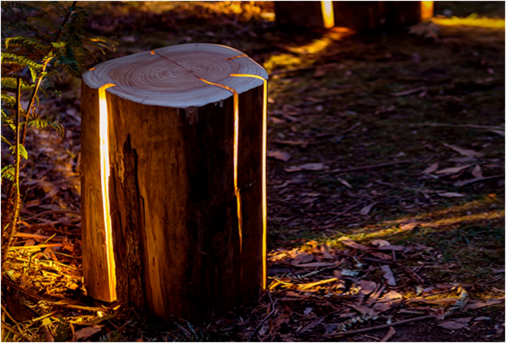 Cracked Log Lamps | Image