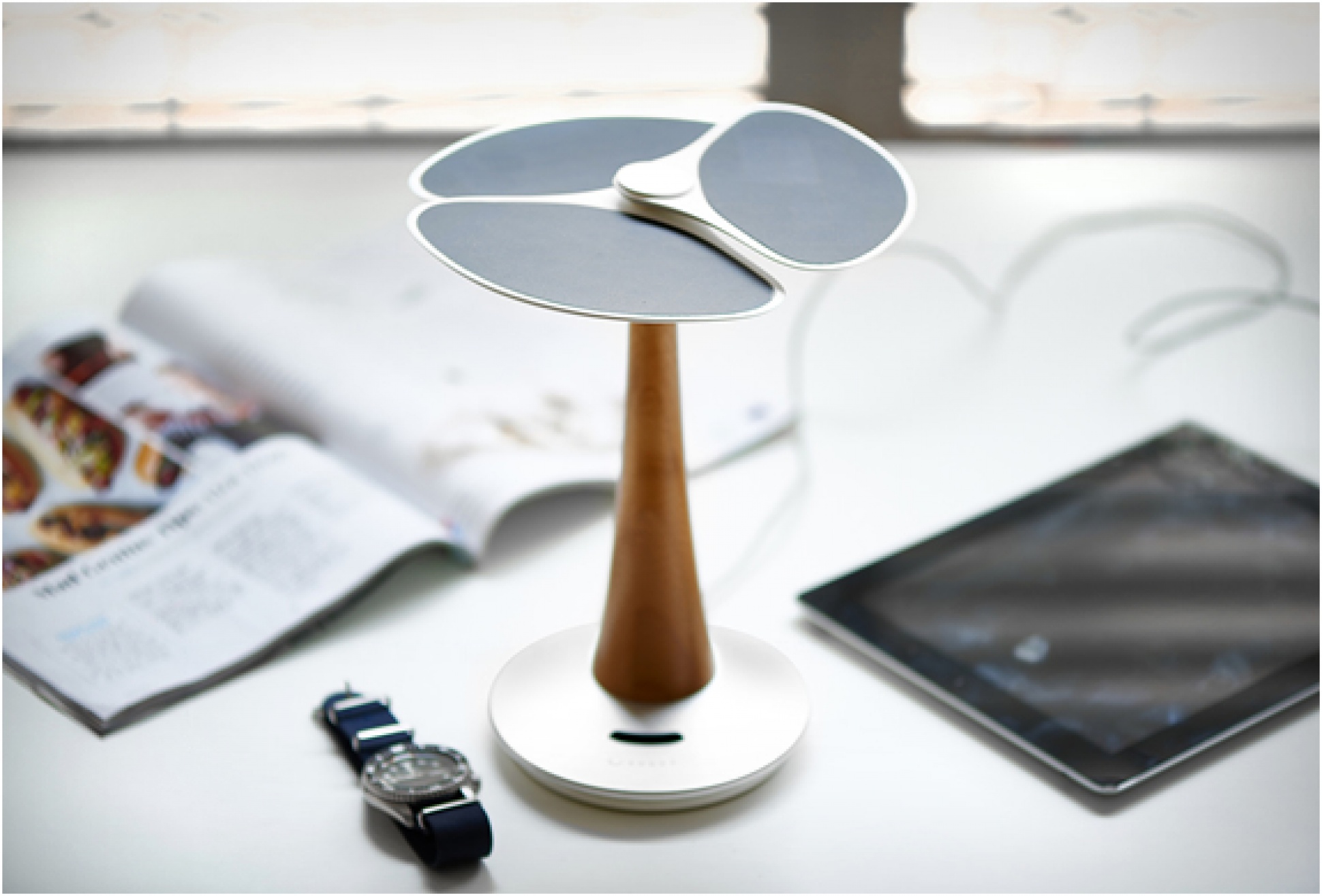 Ginkgo Solar Tree | Image