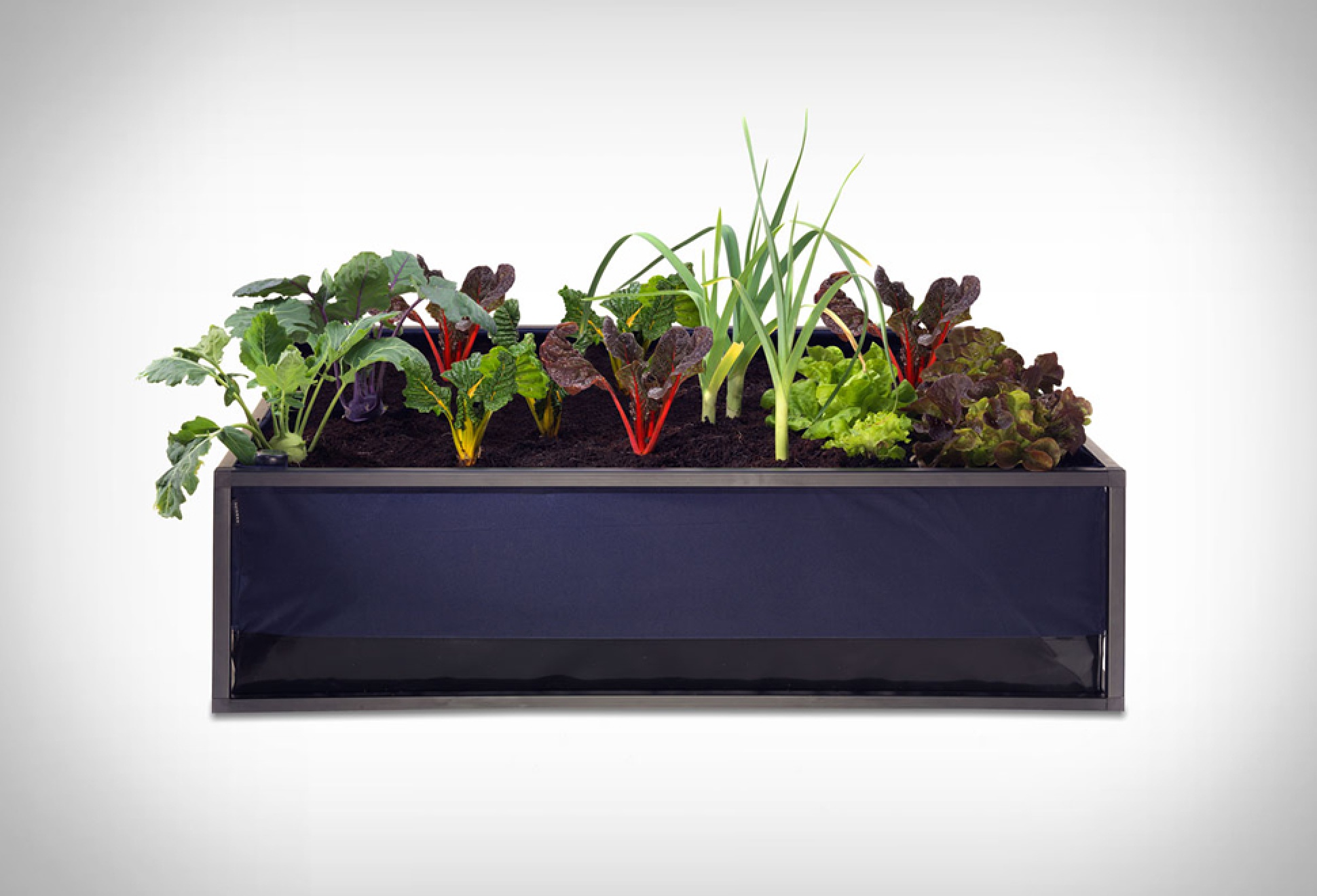 Noocity Growbed | Image