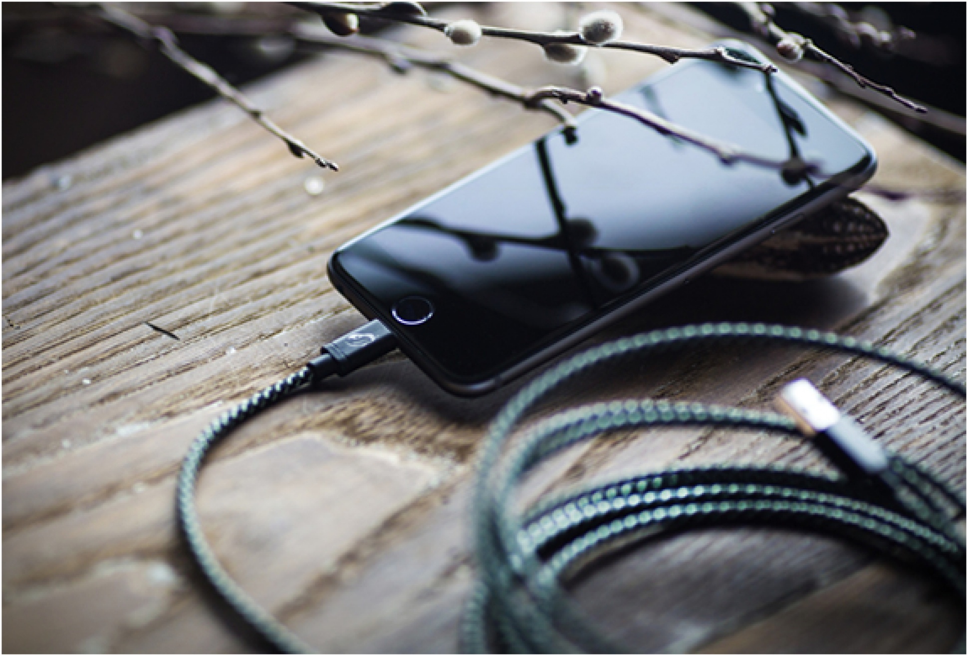Mamba Cable | Image