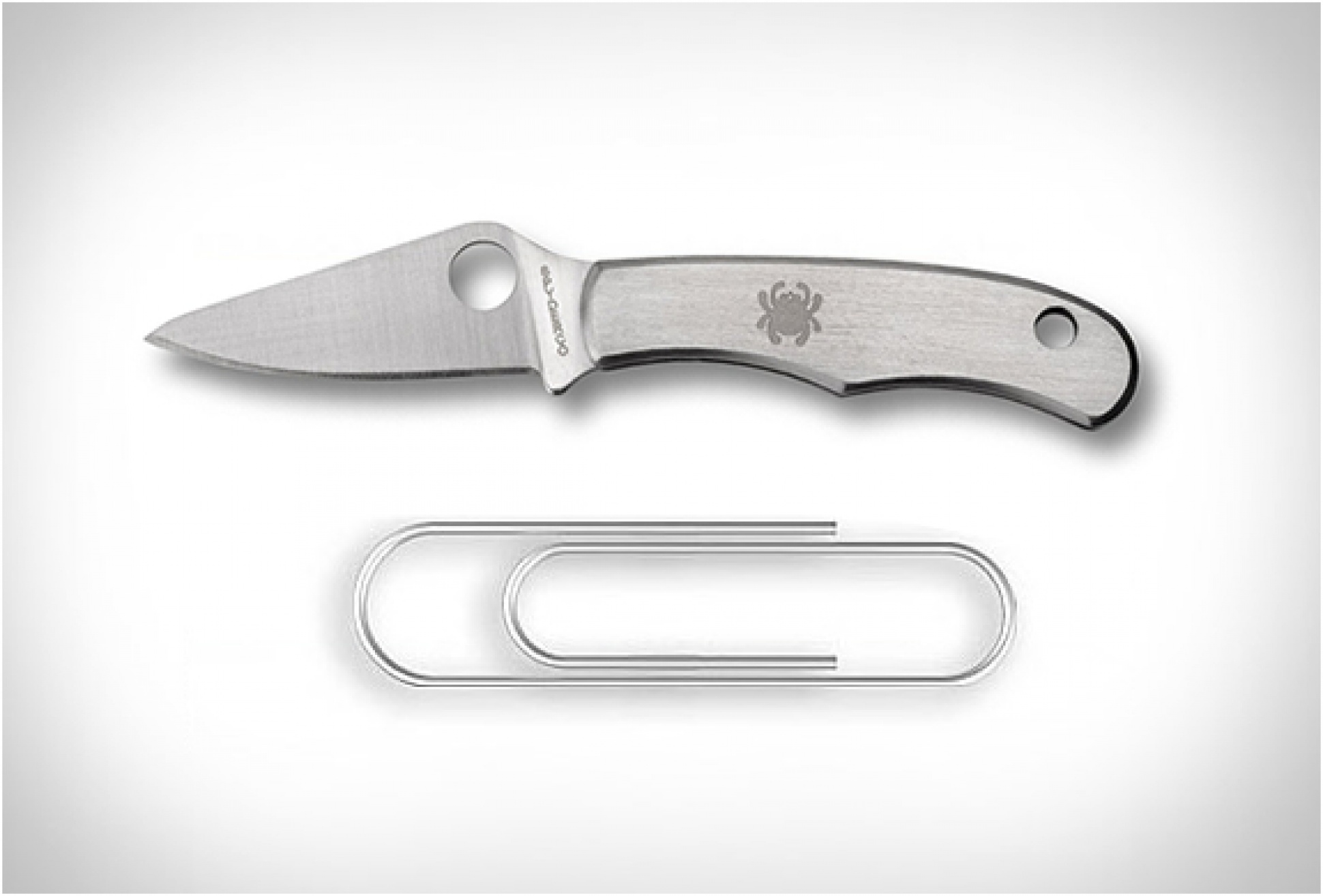 Spyderco Bug Knife | Image