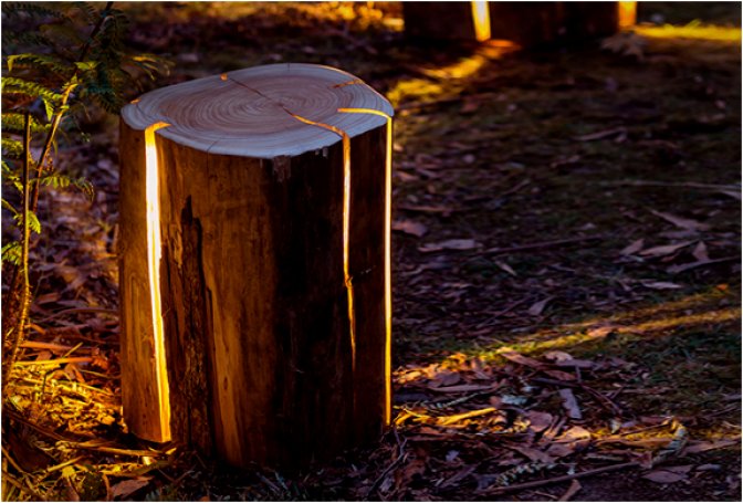 CRACKED LOG LAMPS - Image