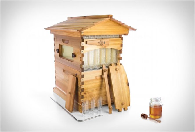 FLOW HIVE - Image