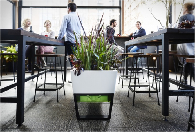 GLOWPEAR | SELF WATERING PLANTER - Image