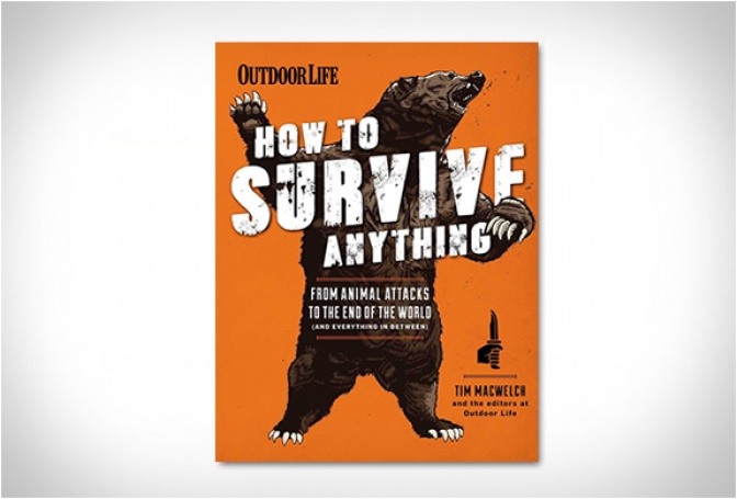 HOW TO SURVIVE ANYTHING - Image