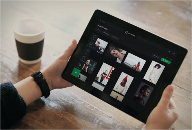 KREDO PROFESSIONAL PORTFOLIO - Image