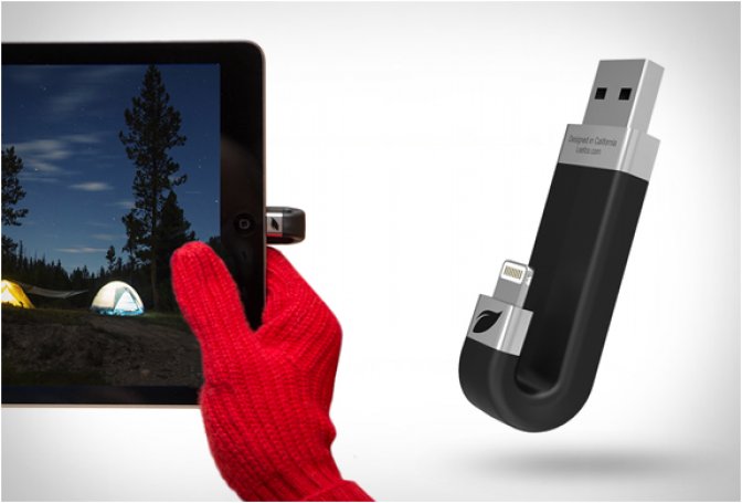 LEEF IBRIDGE - Image