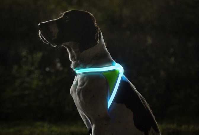 LIGHTHOUND - Image