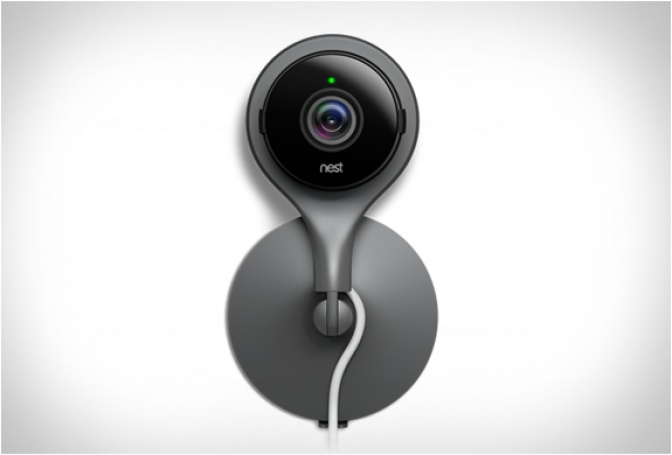 NEST CAM - Image