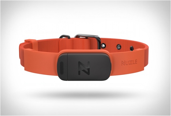 NUZZLE GPS COLLAR - Image