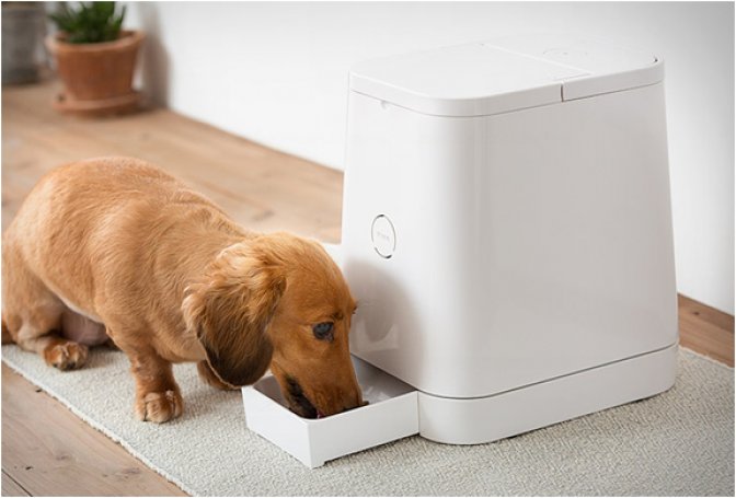 PETLY | AUTOMATIC PET FEEDER - Image