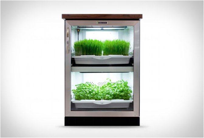 URBAN CULTIVATOR - Image