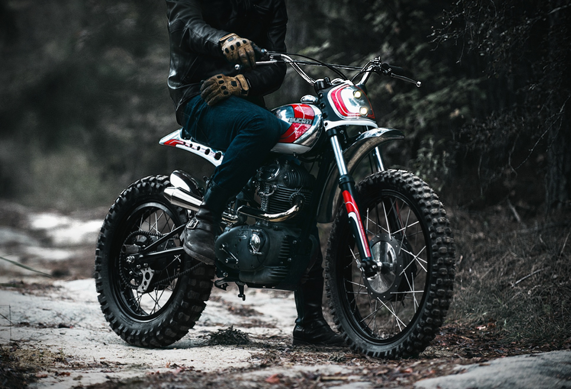 Duc scrambler new arrivals