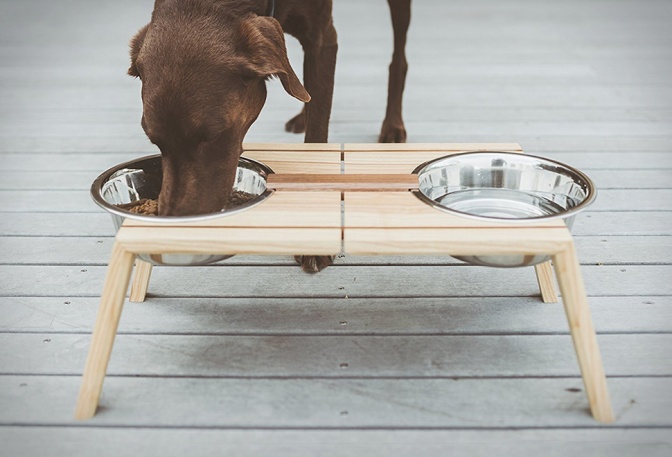 BOTTOMS UP PET DISH - Image