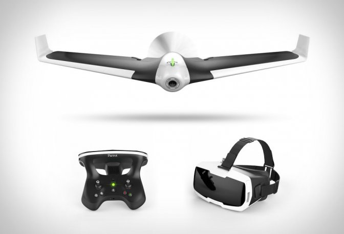 PARROT DISCO - Image