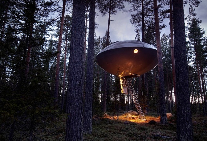 TREEHOTEL - Image