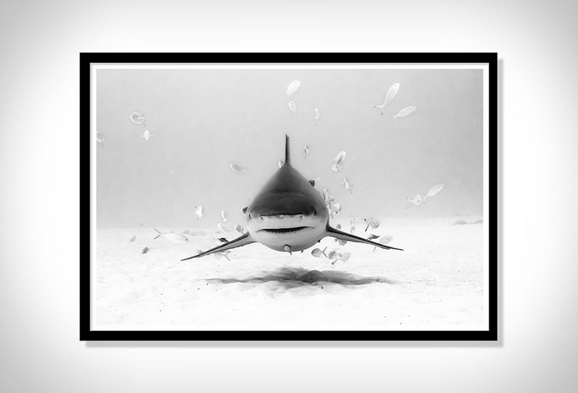 Christian Vizl Ocean Prints | Image